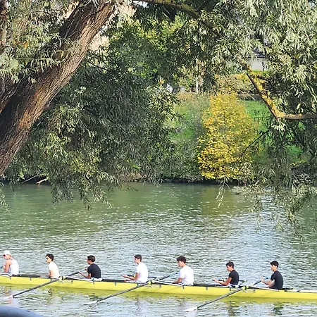 Les Pingouins De La Marne 2